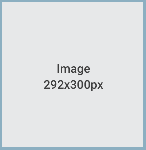 292x300px